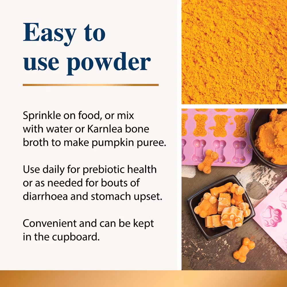 Karnela Pumpkin Powder 200g