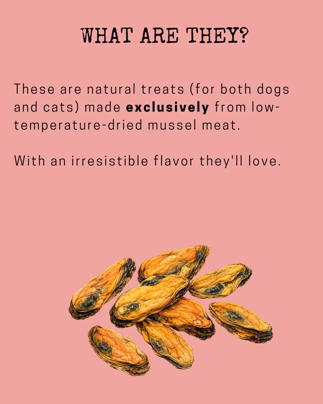 Mr. Bones Raw Treats Green Lipped Mussel