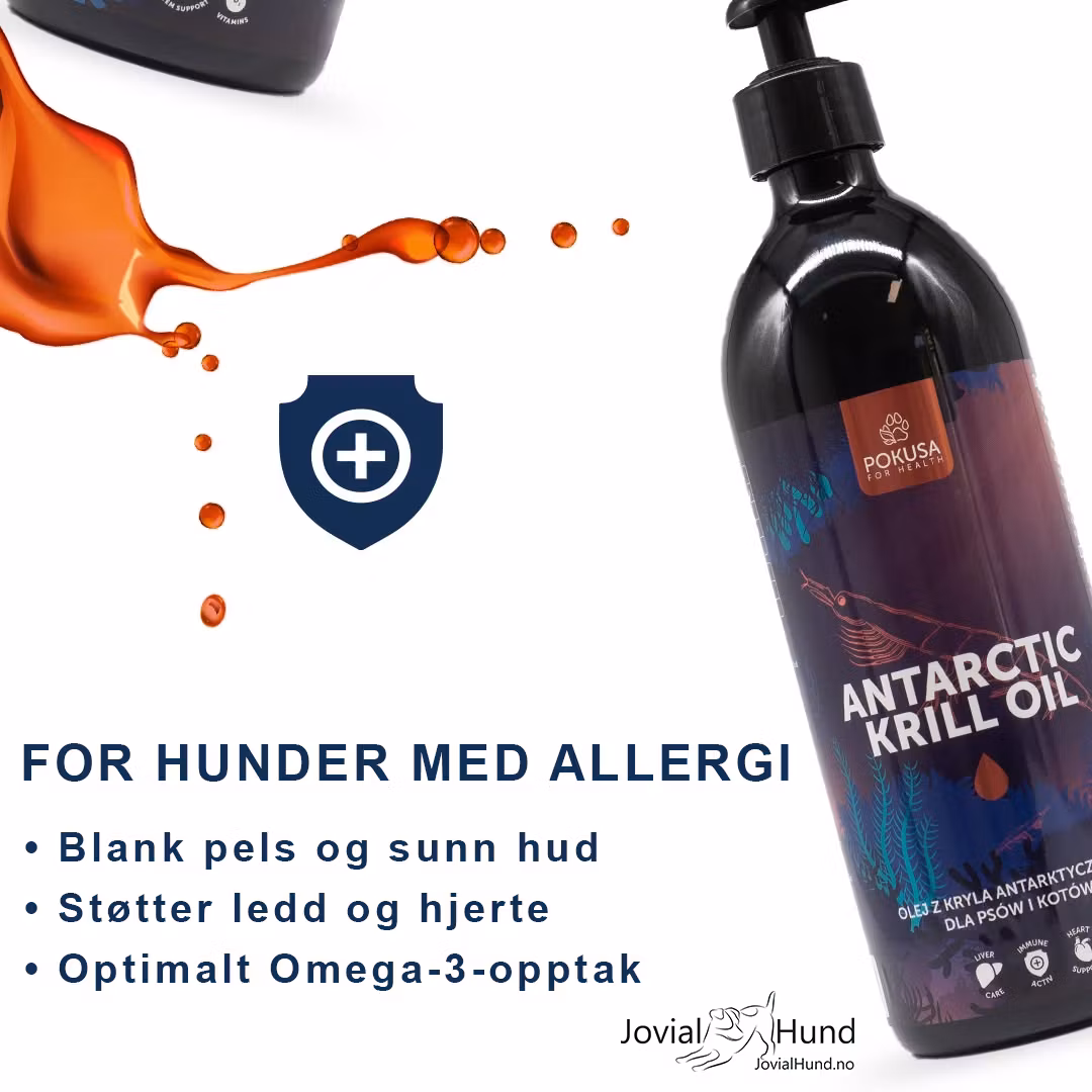 Pokusa Krillolje