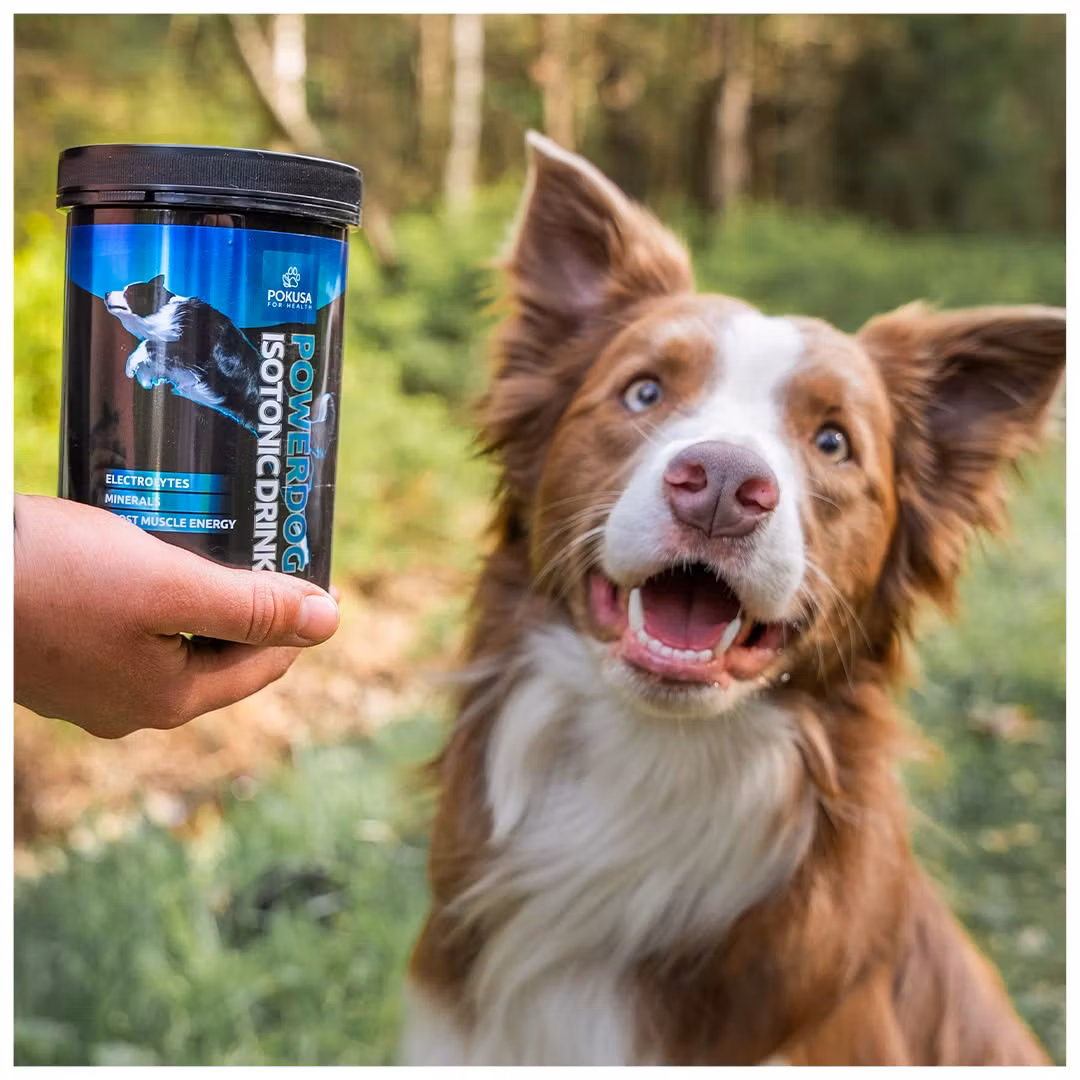 Pokusa PowerDog Isotonic Drikk