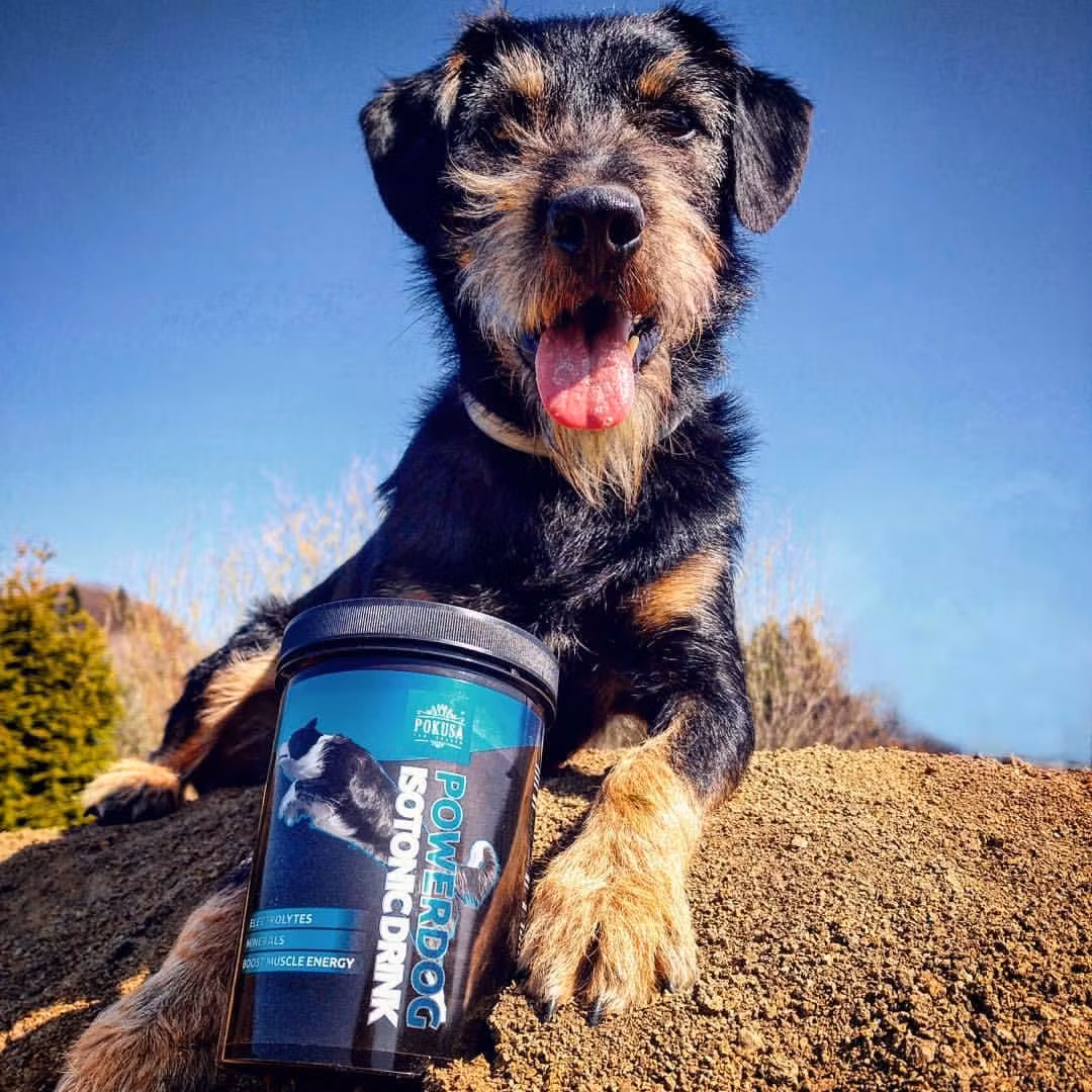 Pokusa PowerDog Isotonic Drikk