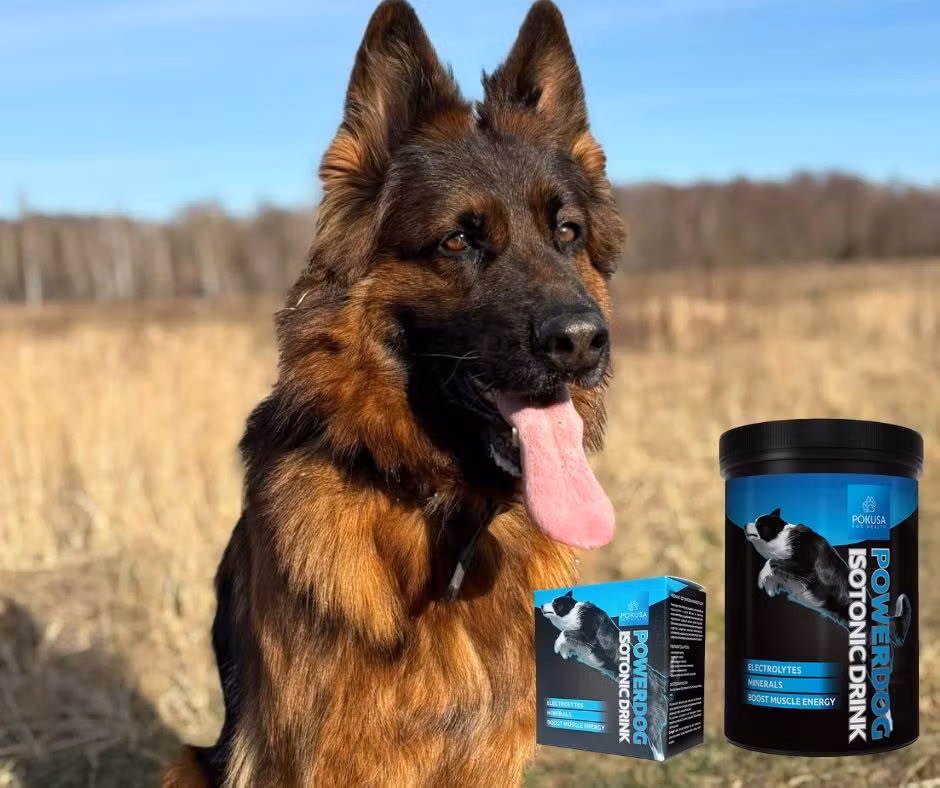 Pokusa PowerDog Isotonic Drikk
