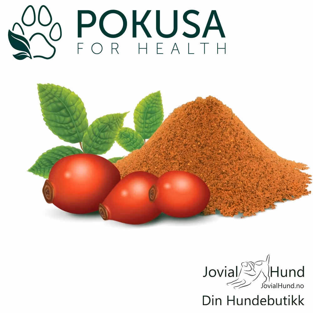 Pokusa Rose Hip - Nype