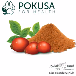 Pokusa Rose Hip - Nype