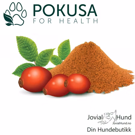 Pokusa Rose Hip - Nype