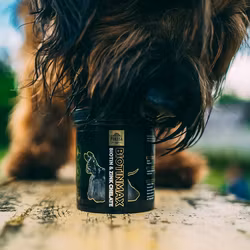 Pokusa BiotinMax 350g