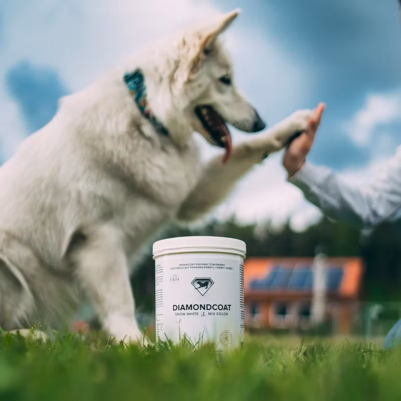 Pokusa DiamondCoat Snow White 300g