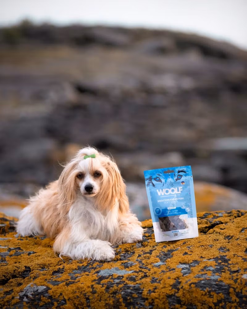 Woolf Soft Cubes Mediterranean Fish 100g