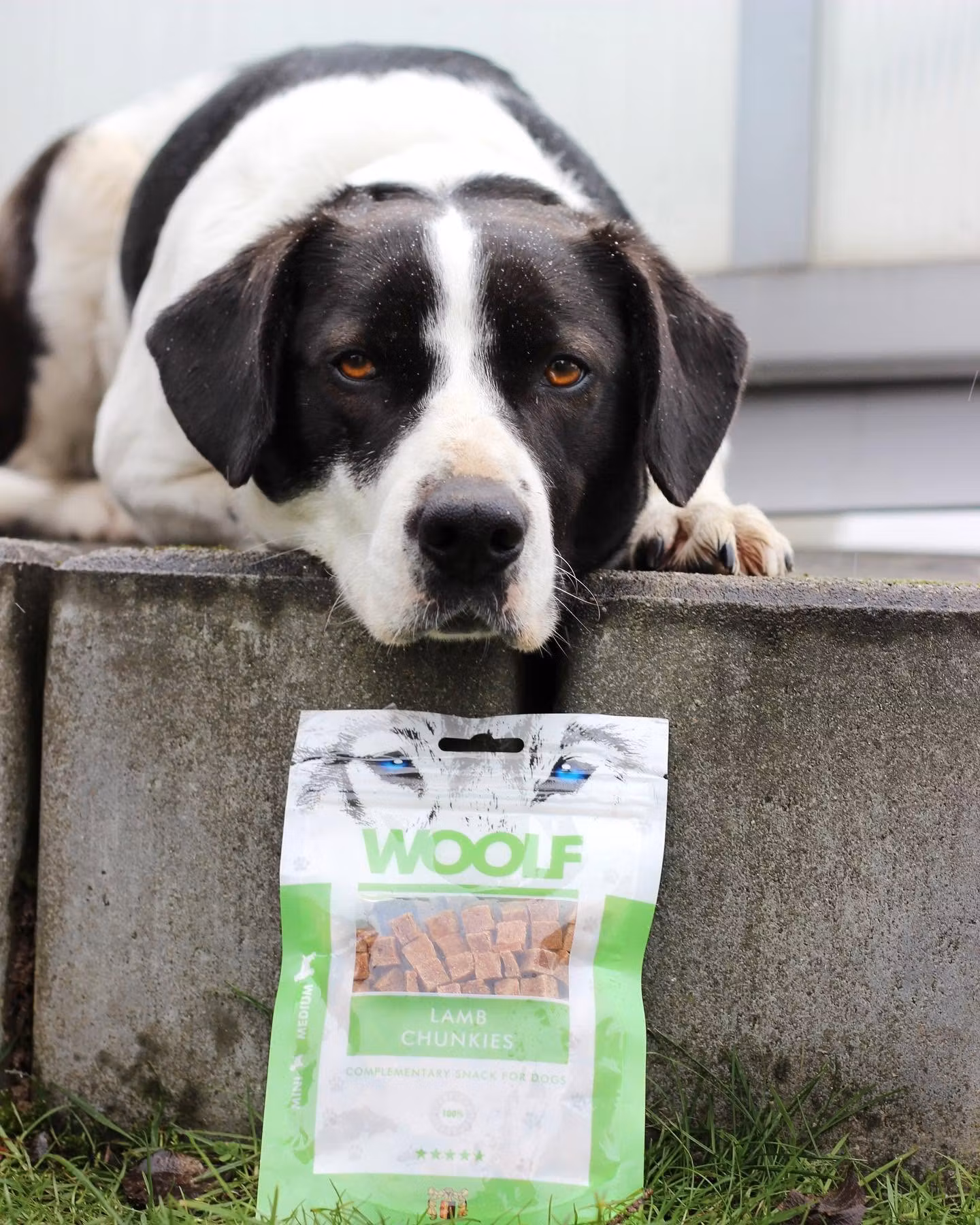 Woolf Lamb Chunkies 100g