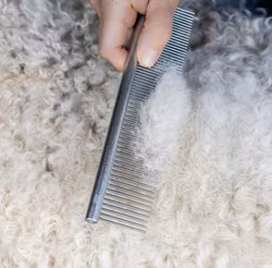 Mikki Doodle Comb - Kam