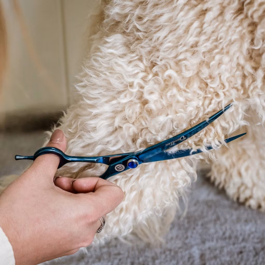 Mikki Doodle Curved Scissor 19cm - Buet Saks