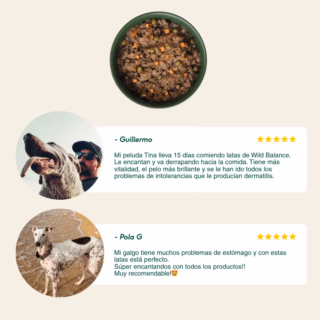 Wild Balance Farmers Stew med Kalkun og Storfe 400g