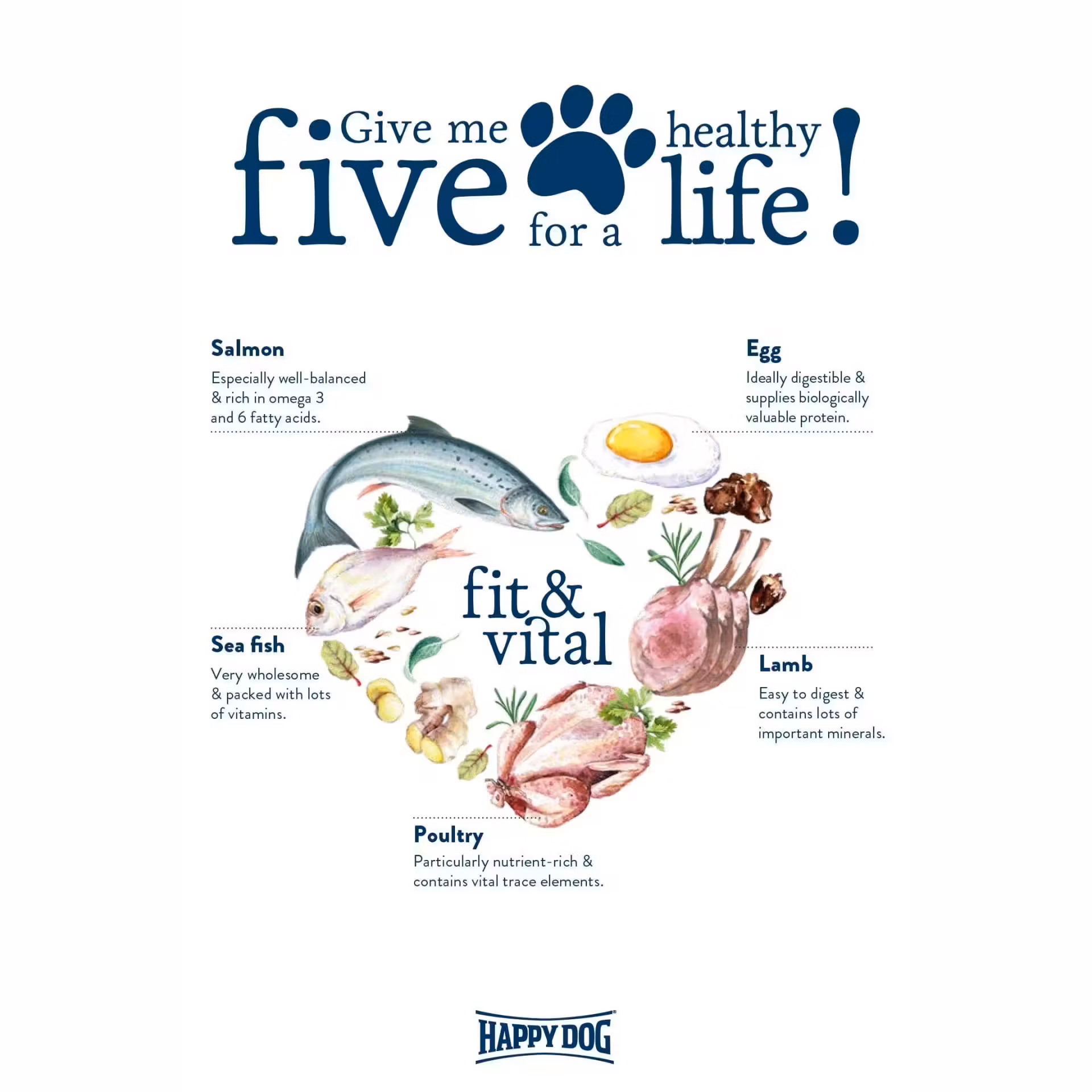 HD Light Calorie Control 12Kg - Happy Dog Fit & Vital
