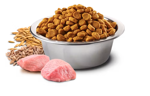 Farmina N&D Dog Ancestral Grain Selection Chicken & Pomegranate Adult Medium & Maxi 15 Kg - Bestillingsvare