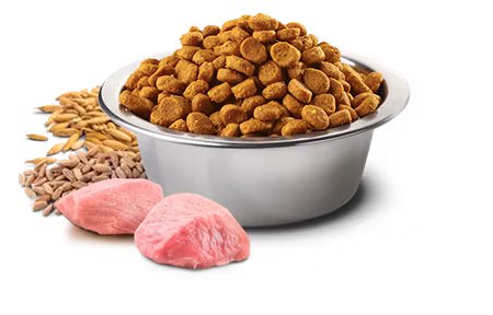 Farmina N&D Dog Ancestral Grain Selection Chicken & Pomegranate Adult Medium & Maxi 15 Kg - Bestillingsvare