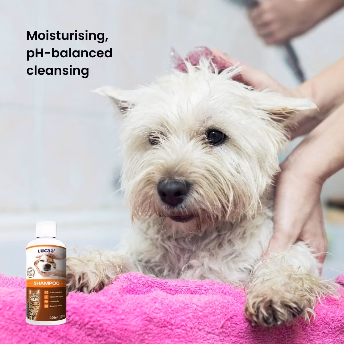 LUCAA+ Shampoo 300ml