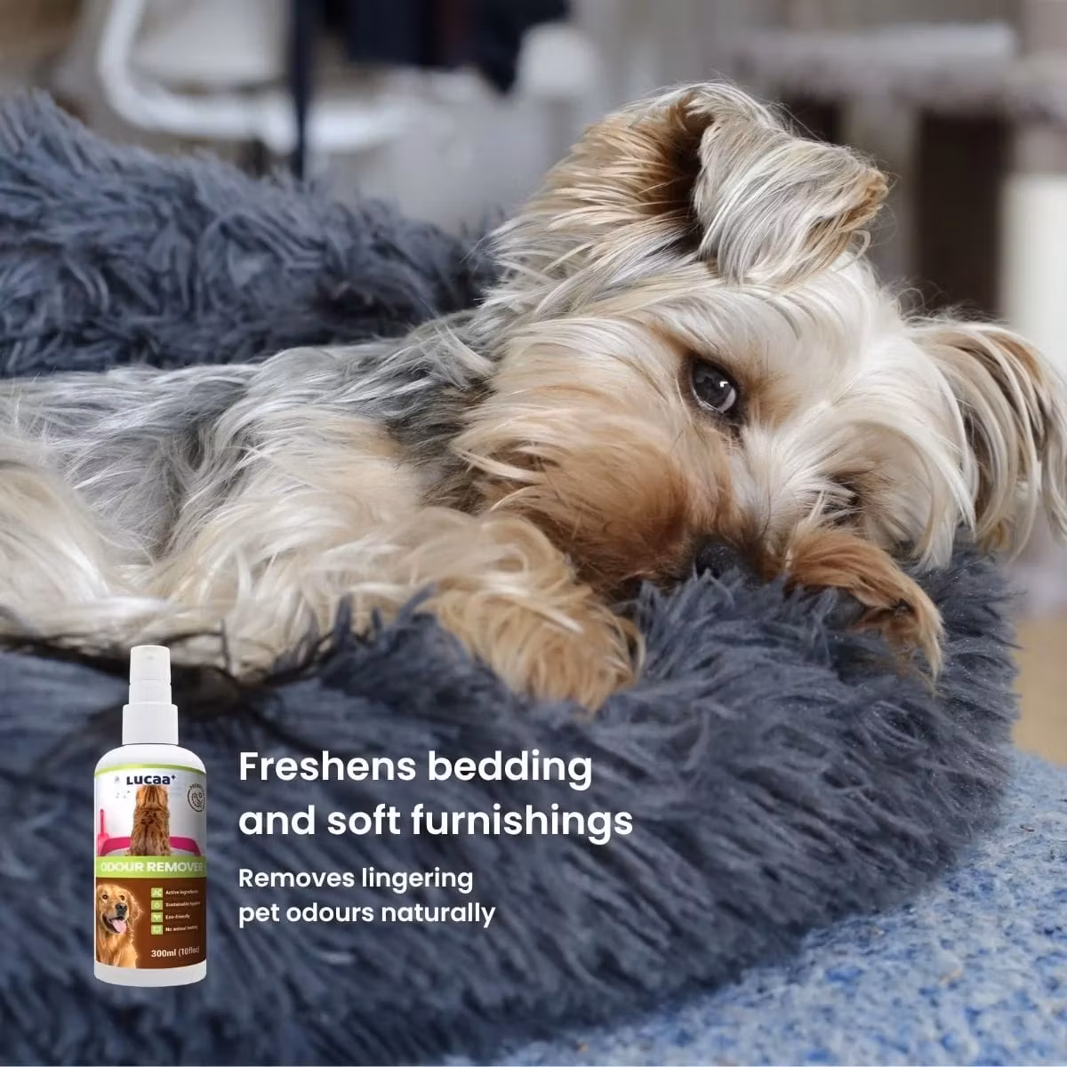 LUCAA+  Probiotic Pet Odour Remover spray - 300ml