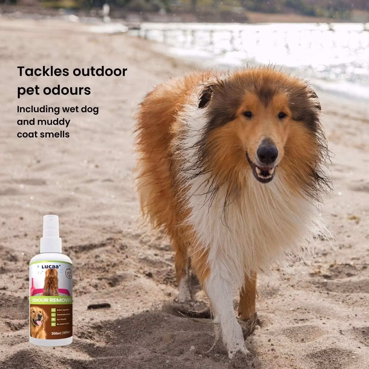 LUCAA+  Probiotic Pet Odour Remover spray - 300ml