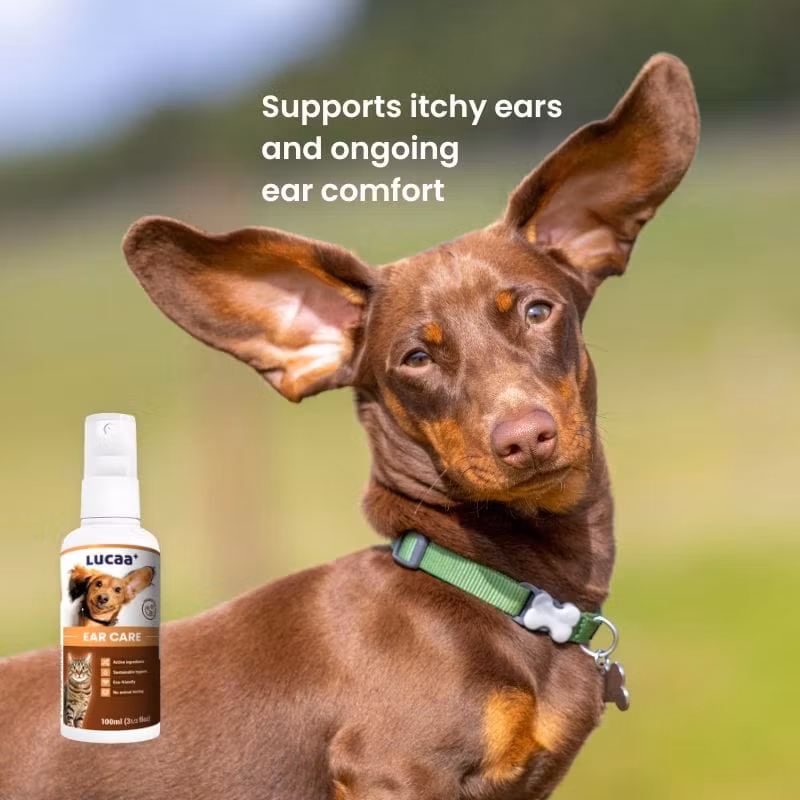 LUCAA+ Ear Care Spray 100ml