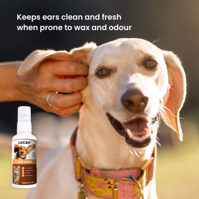 LUCAA+ Ear Care Spray 100ml