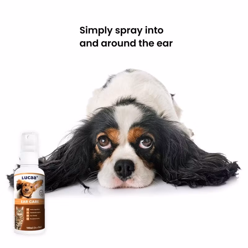 LUCAA+ Ear Care Spray 100ml