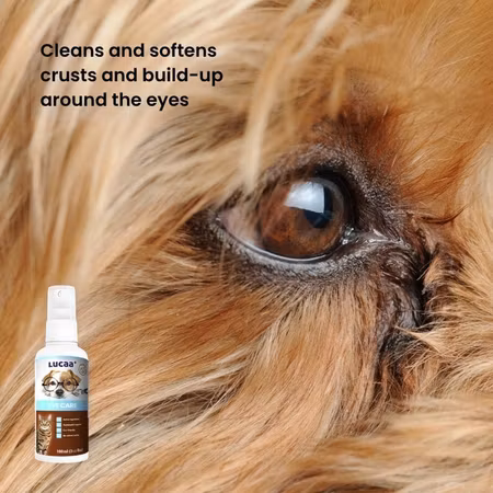 LUCAA+ Eye Care Spray 100ml