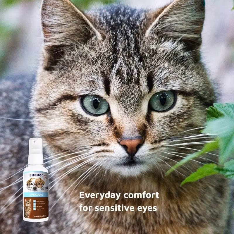 LUCAA+ Eye Care Spray 100ml
