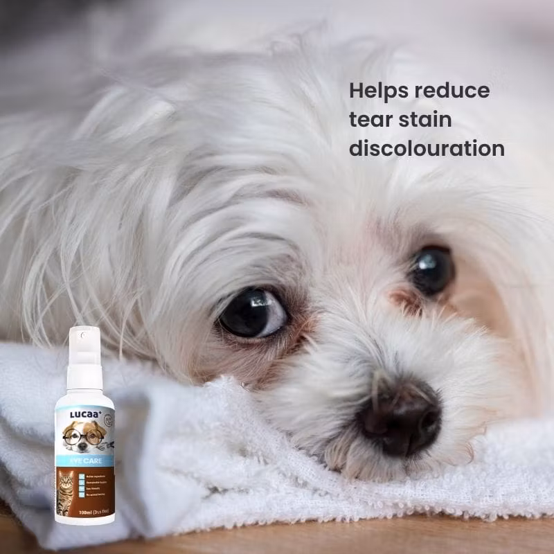 LUCAA+ Eye Care Spray 100ml