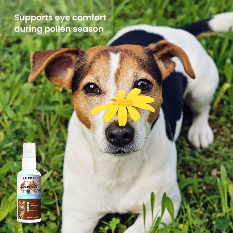 LUCAA+ Eye Care Spray 100ml