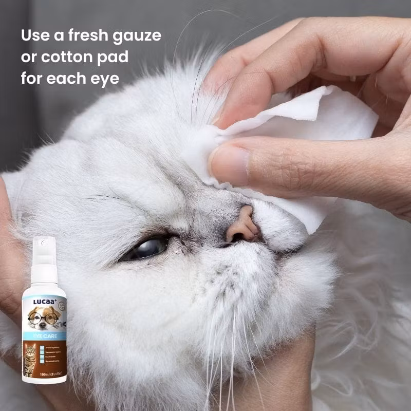 LUCAA+ Eye Care Spray 100ml