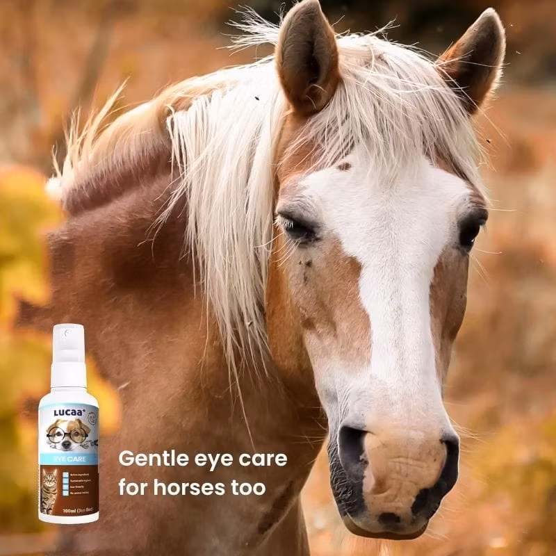 LUCAA+ Eye Care Spray 100ml