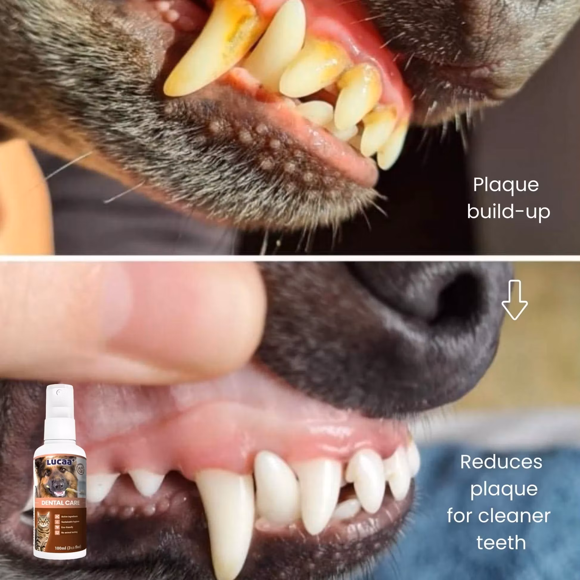 LUCAA+ Dental Care Spray 100ml