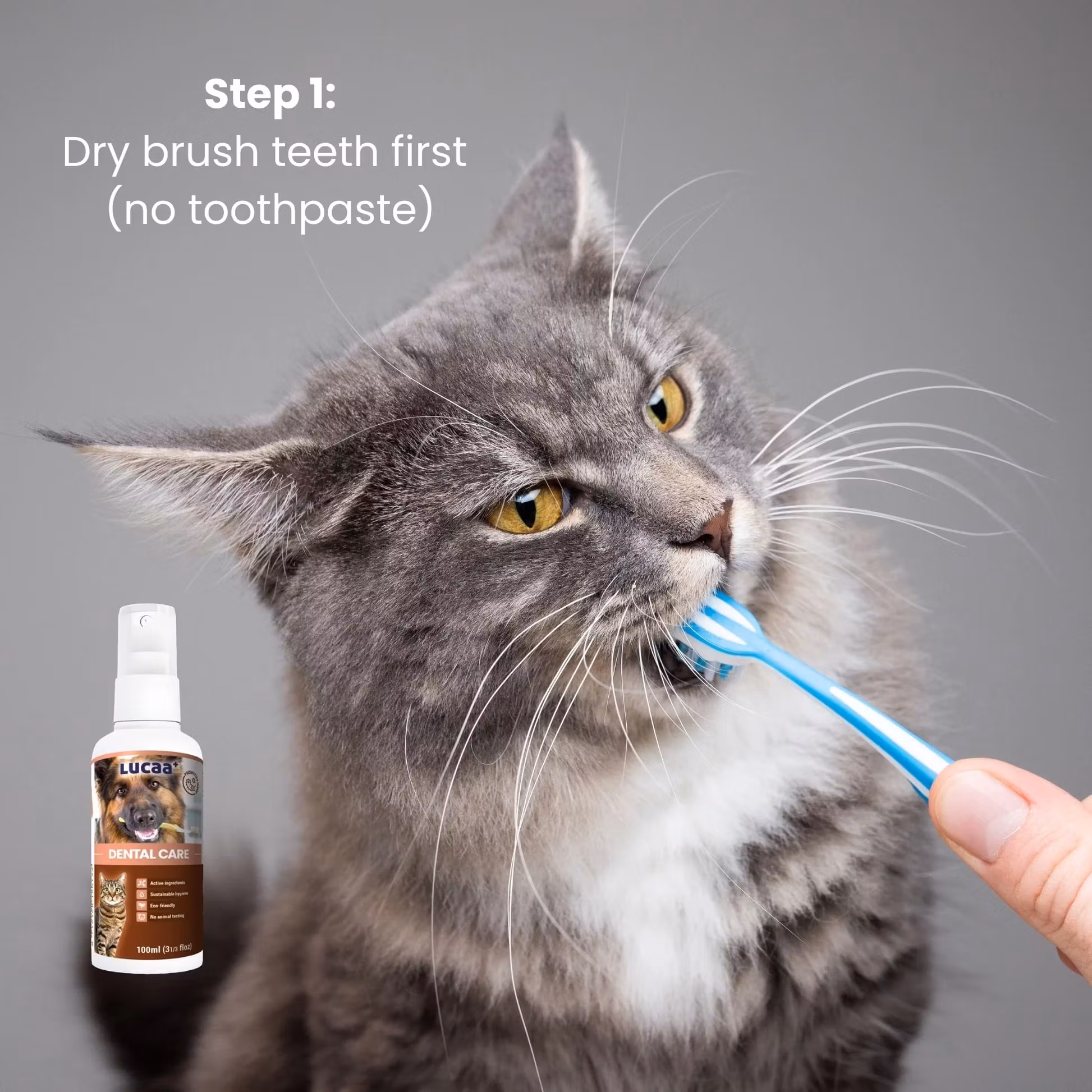 LUCAA+ Dental Care Spray 100ml