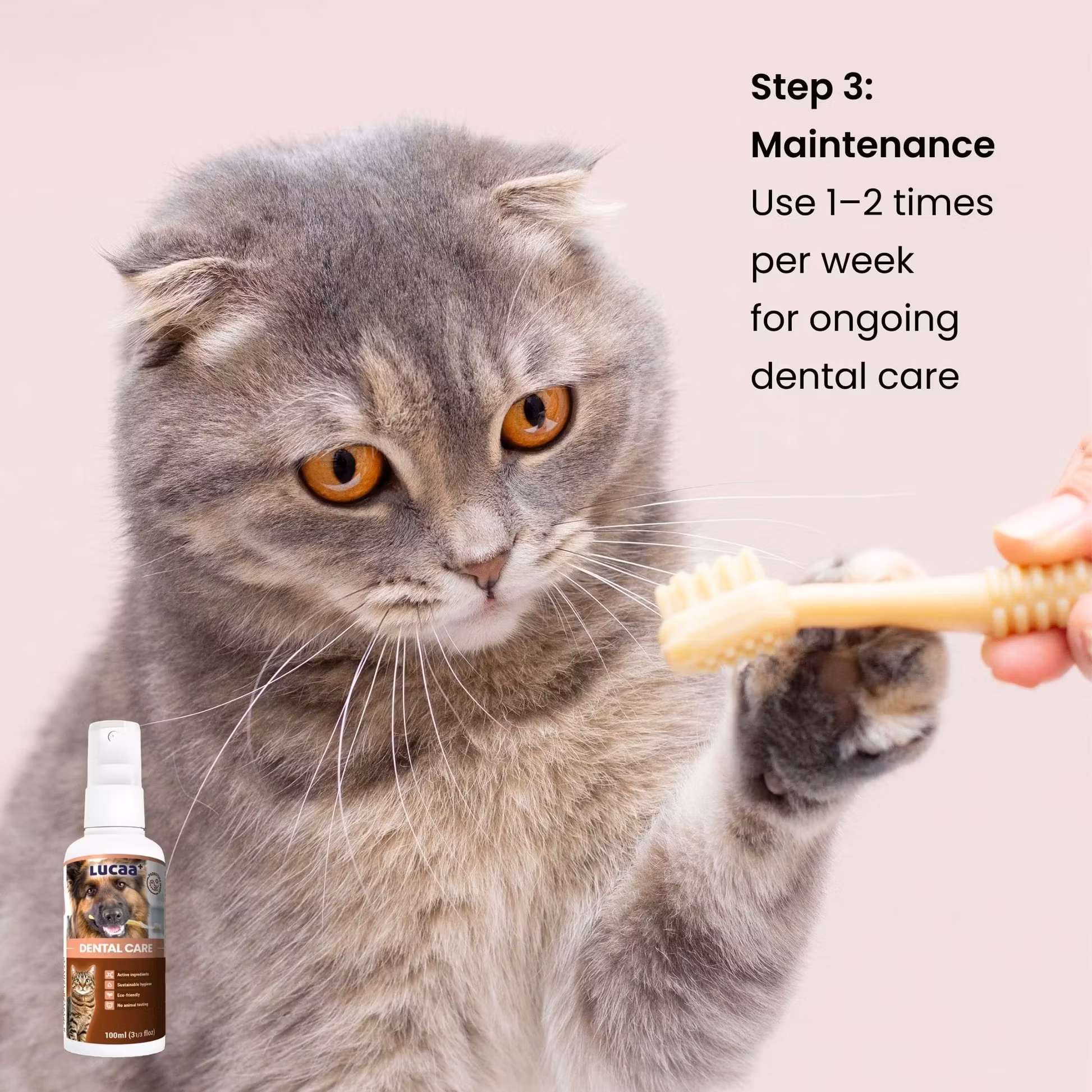 LUCAA+ Dental Care Spray 100ml
