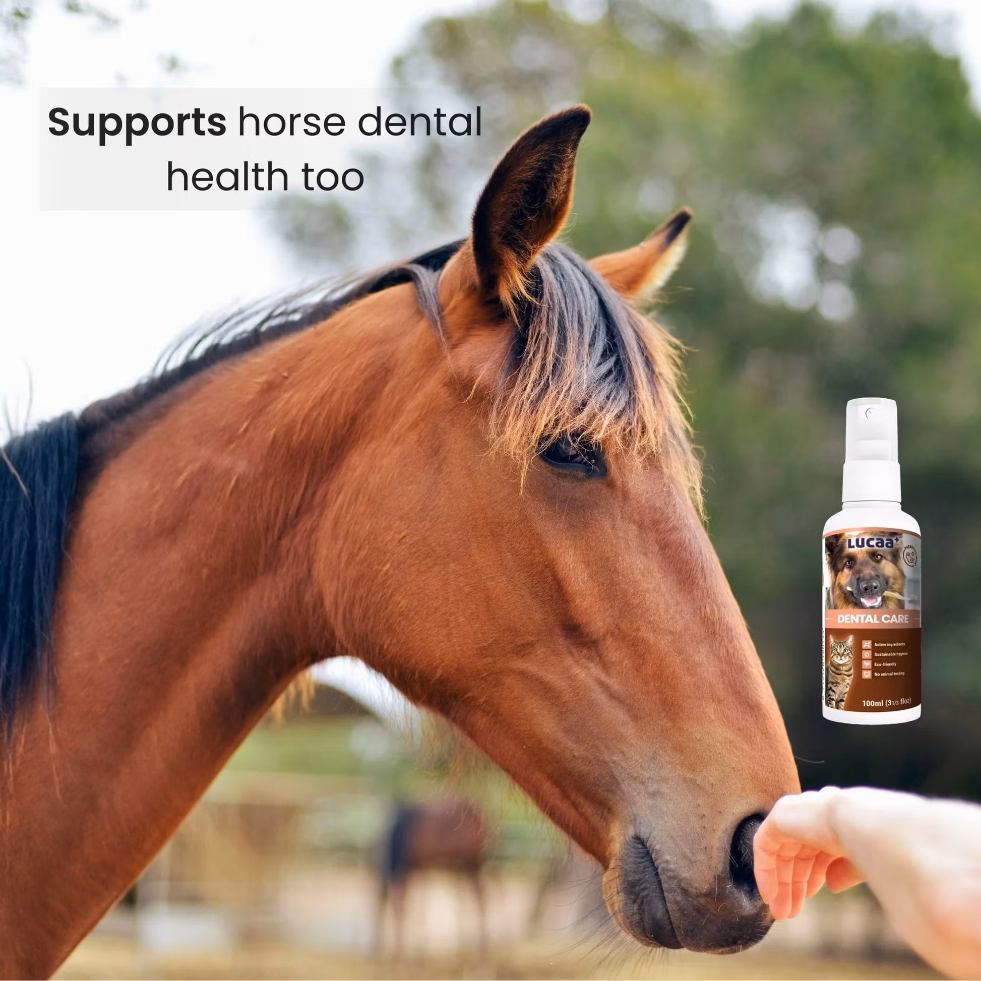 LUCAA+ Dental Care Spray 100ml