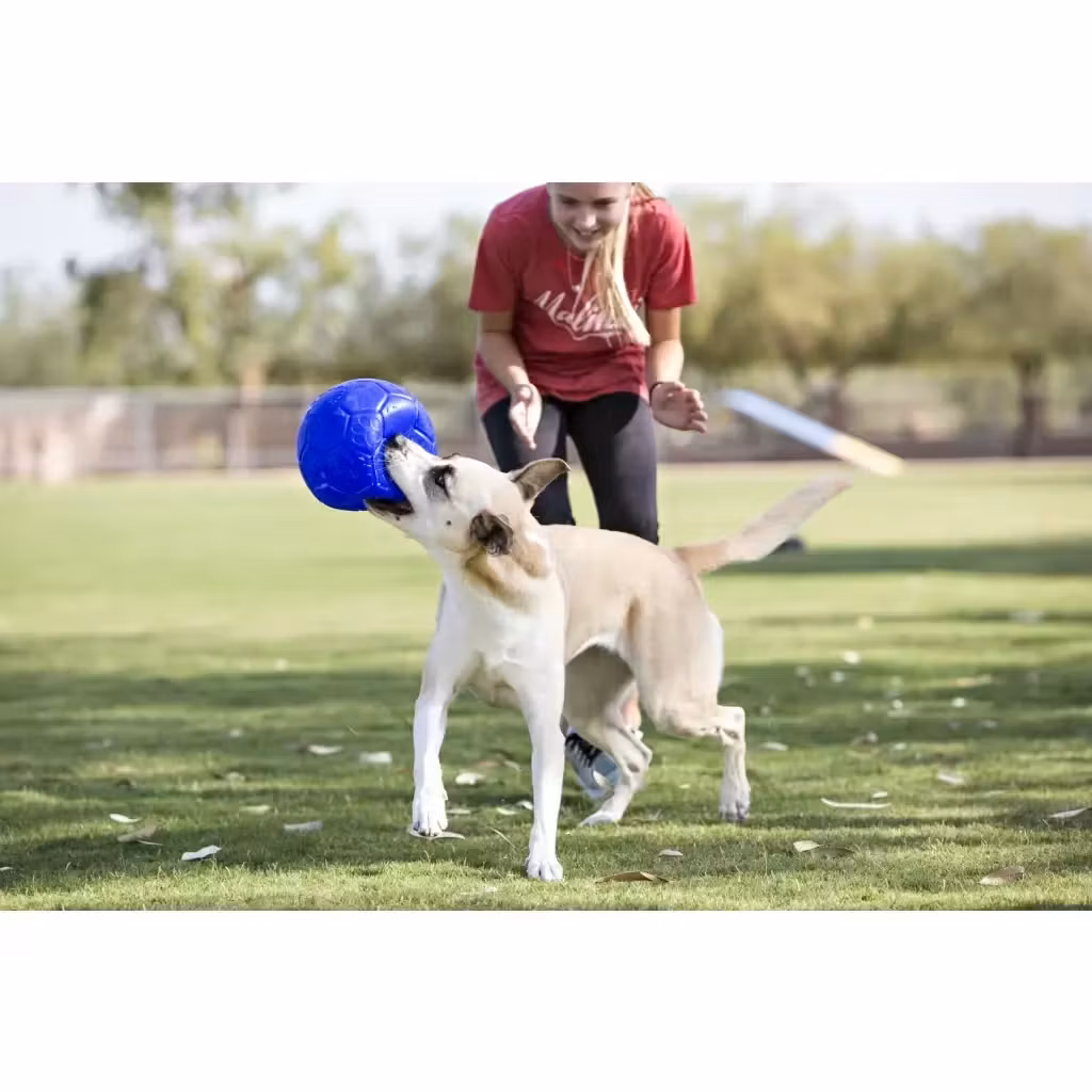Jolly Soccer Ball