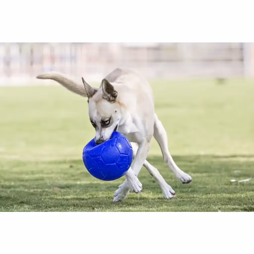 Jolly Soccer Ball