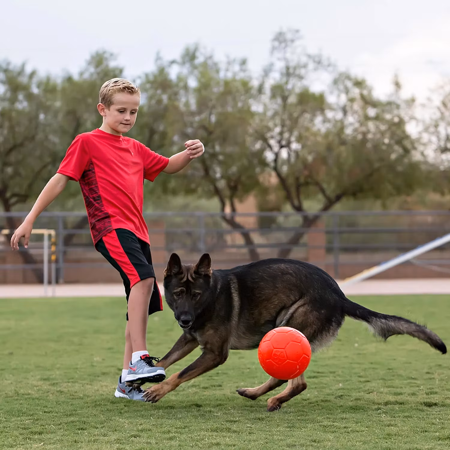 Jolly Soccer Ball