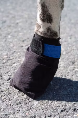 VIP Potesokk FINNMARK 4-pk