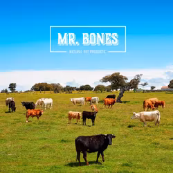 Mr. Bones Mixers Storfè 400g