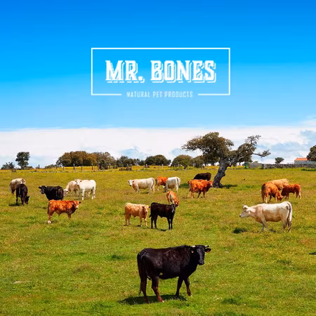 Mr. Bones Mixers Storfè 400g