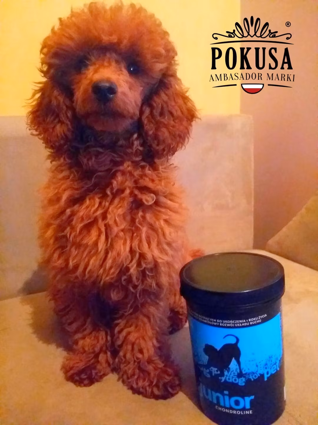 Pokusa ChondroLine Junior 350g