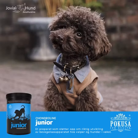 Pokusa ChondroLine Junior 350g