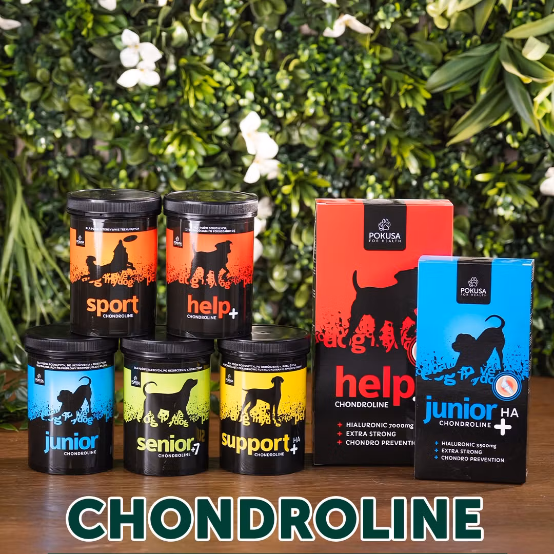 Pokusa ChondroLine Junior 350g