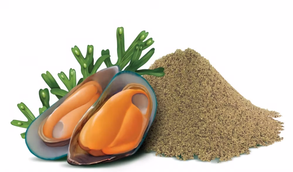 Pokusa Green Lipped Mussel 120 tabletter - Grønnleppemusling