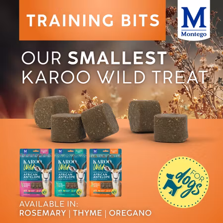 KAROO Wild - Training Bites Antilope & Timian 113g
