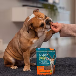 KAROO Wild - Trail Bites Antilope & Oregano 227g
