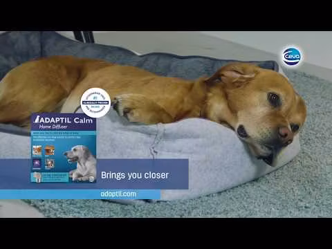 Adaptil Diffuser Home Startpakke