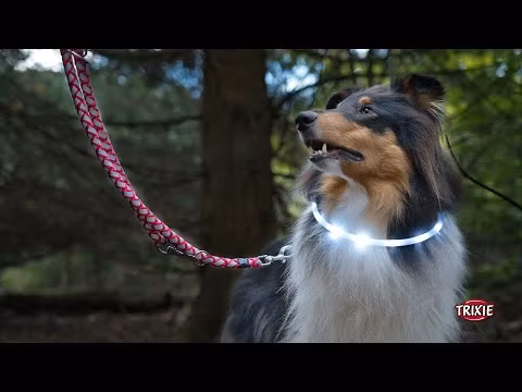 Trixie Reflex Halsbånd Refleks