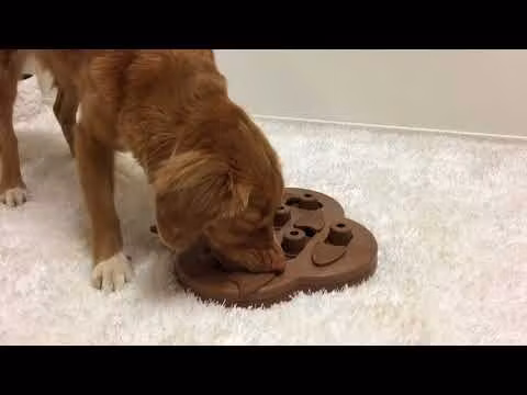Nina Ottosson Puppy Hide`N`Slide
